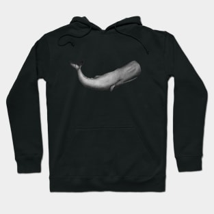 Sperm Whale Hoodie